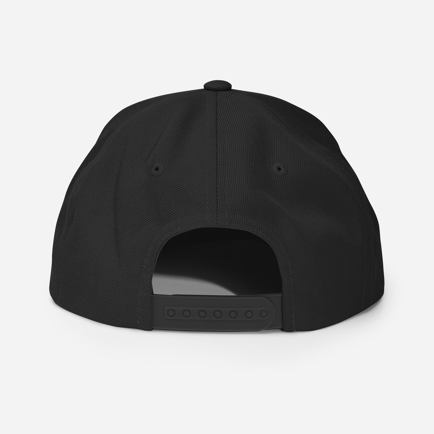 HEAL Snapback Hat