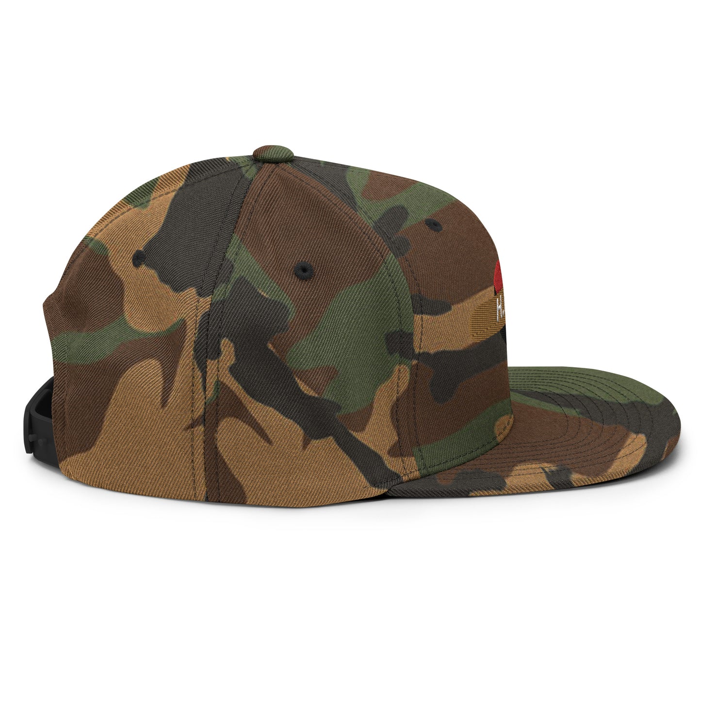HEAL Snapback Hat