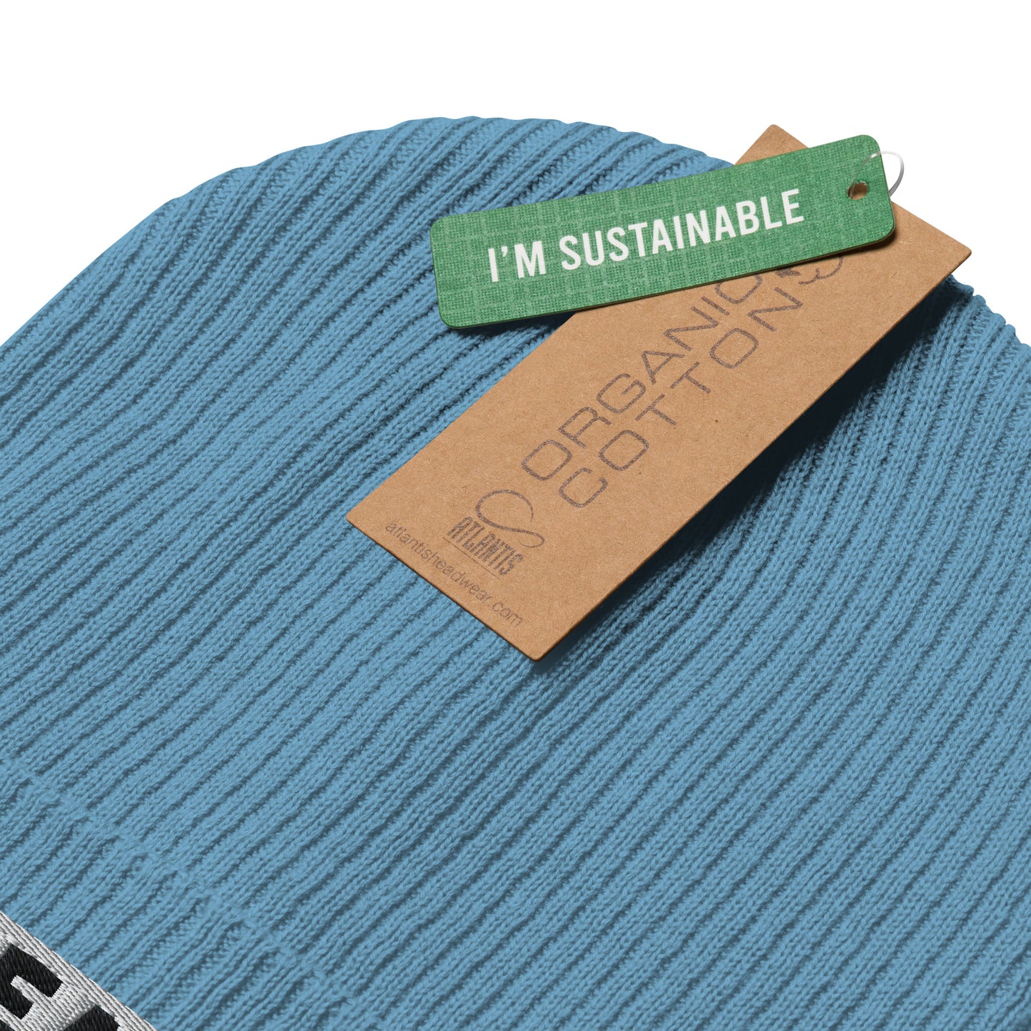 HEAL Beanie