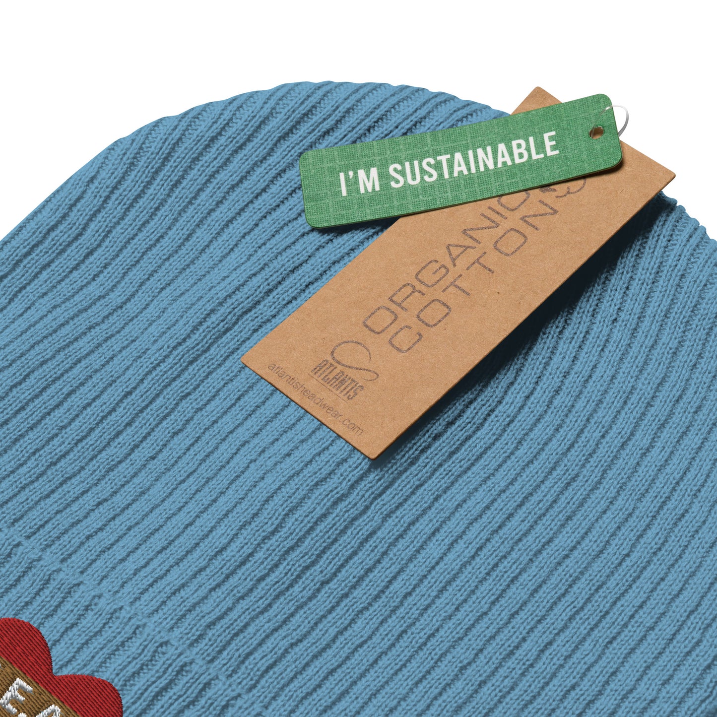 HEAL Beanie