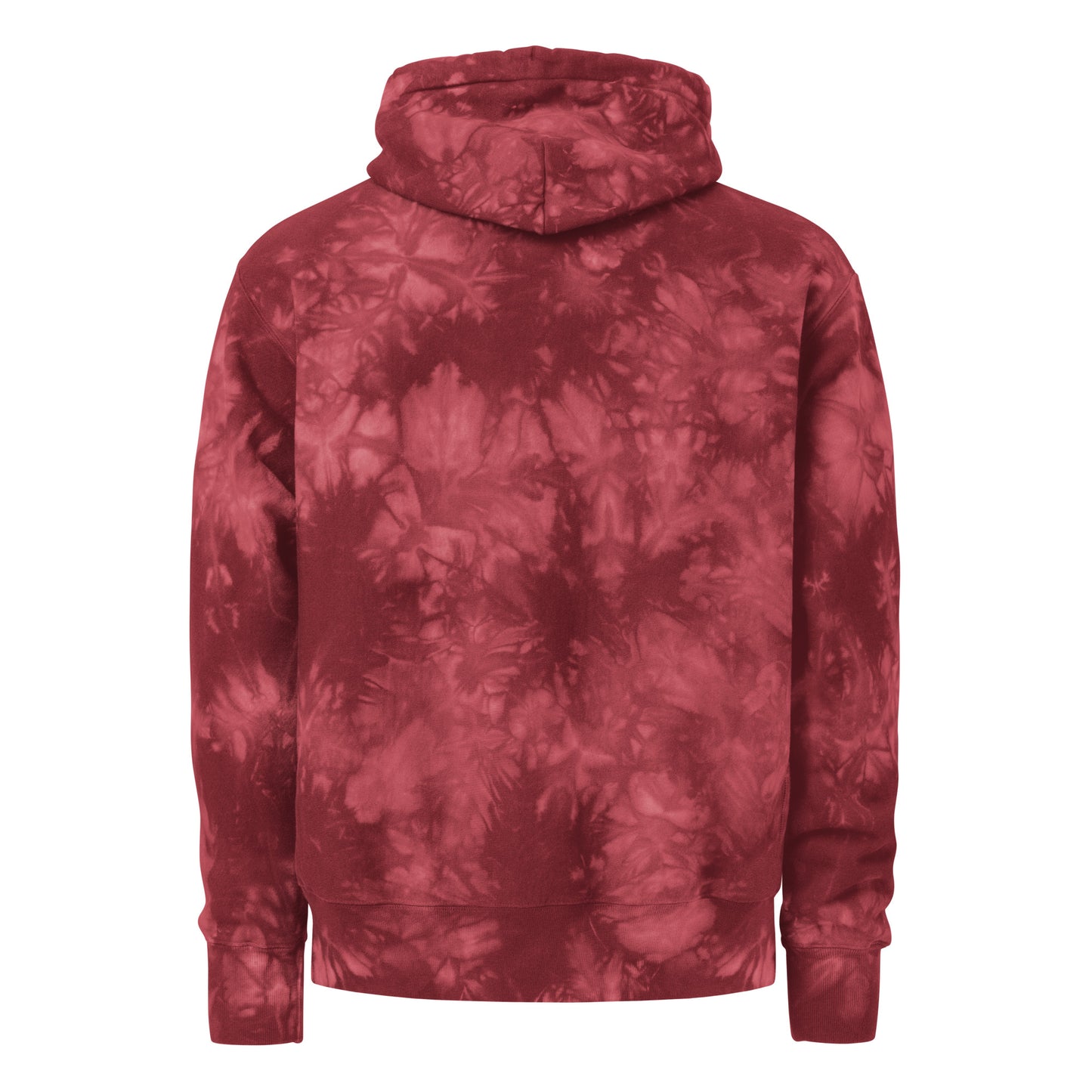 H.E.A.L Unisex Champion Tie-Dye Hoodie